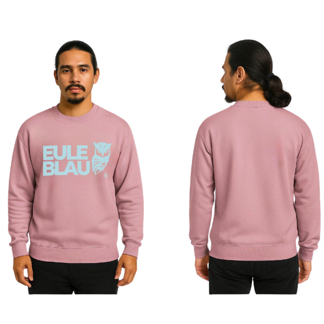Polerón Unisex andes polo crew soft rose/ sky blue