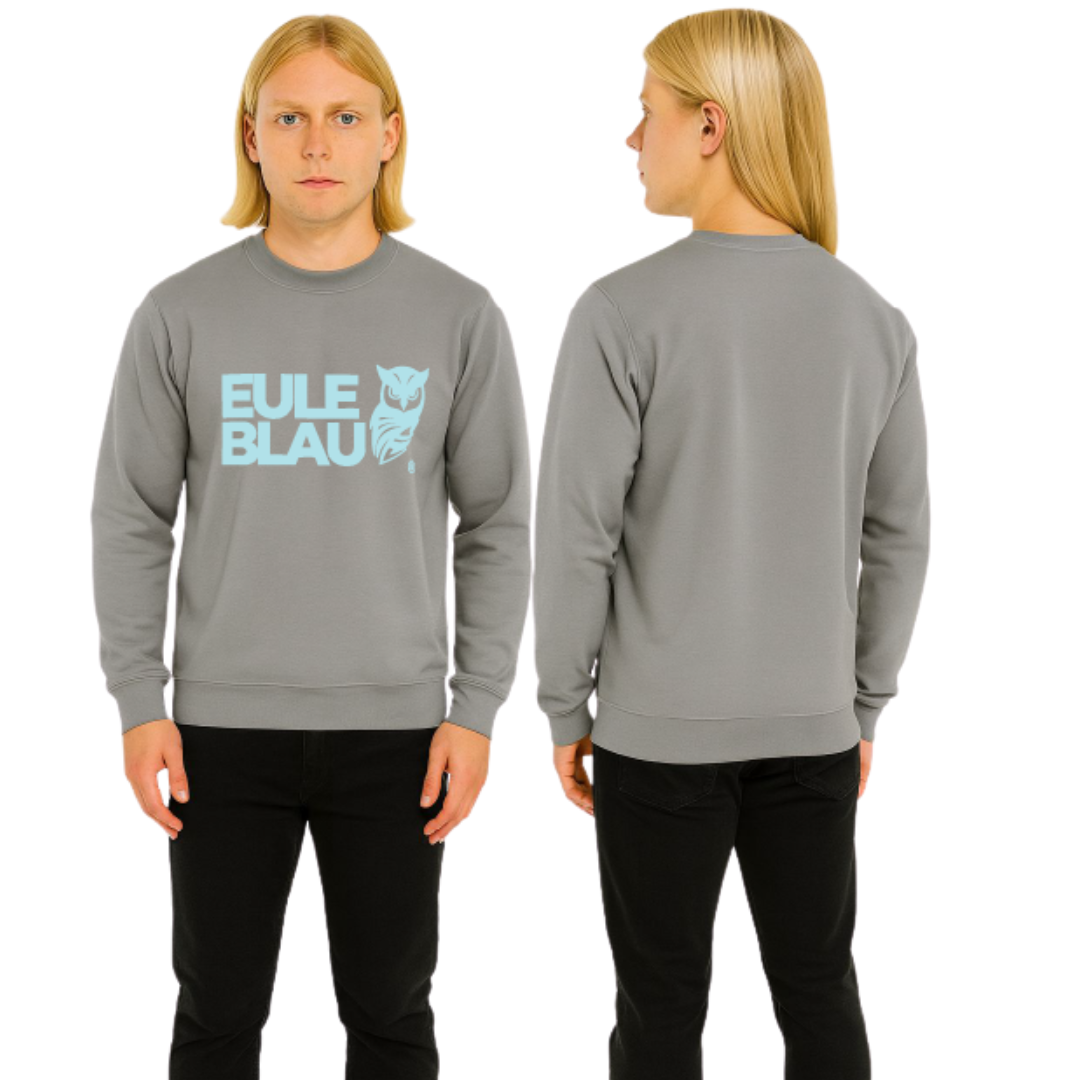 Polerón Unisex andes polo crew Grey/sky blue
